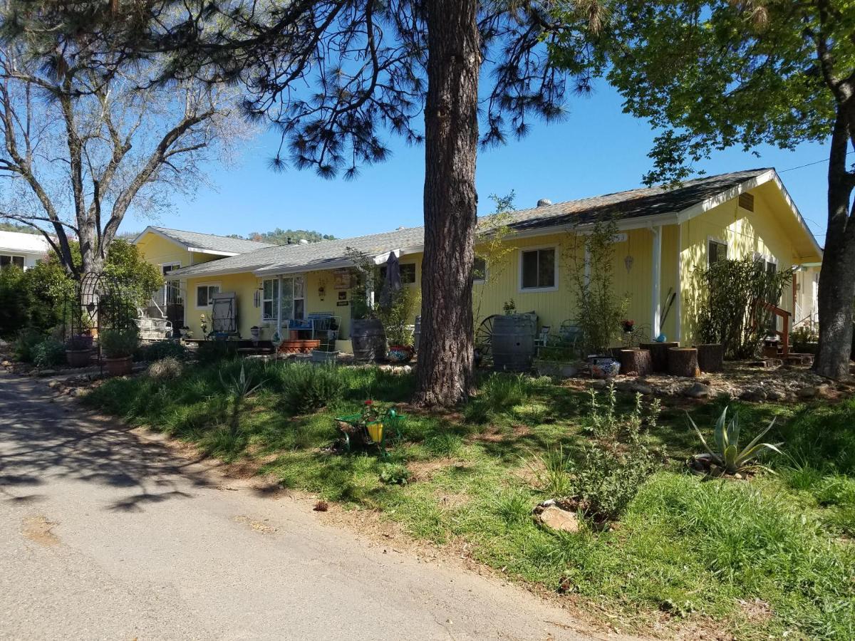 Yosemite Plaisance Bed & Breakfast Mariposa Exterior photo